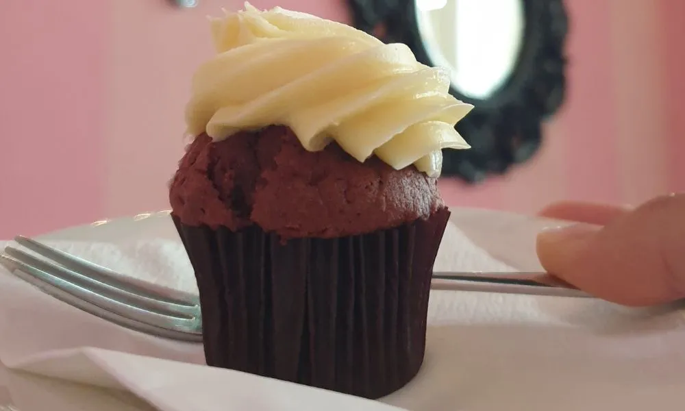 Jimmy C & Adelaide Street Art Guided Walking Tour | Experience Oz-4