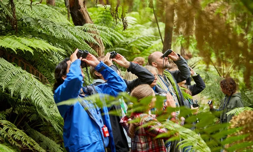 Private Great Ocean Road Coastal & Wildlife Tour | Experience Oz