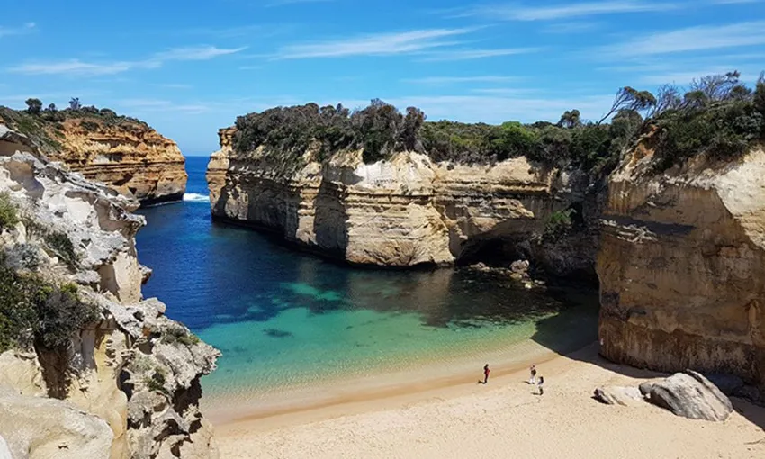 Private Great Ocean Road Coastal & Wildlife Tour | Experience Oz