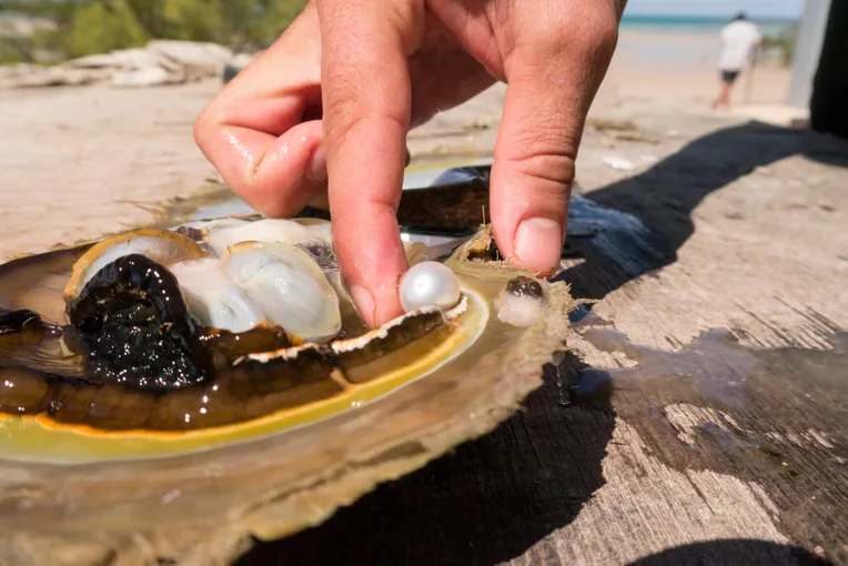 Horizontal Falls and Dampier Peninsula Full Day Tour | Experience Oz