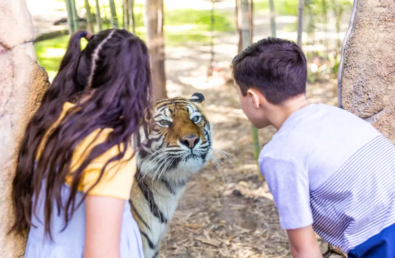 Dreamworld, WhiteWater World & SkyPoint, 5 Days - Gold Coast