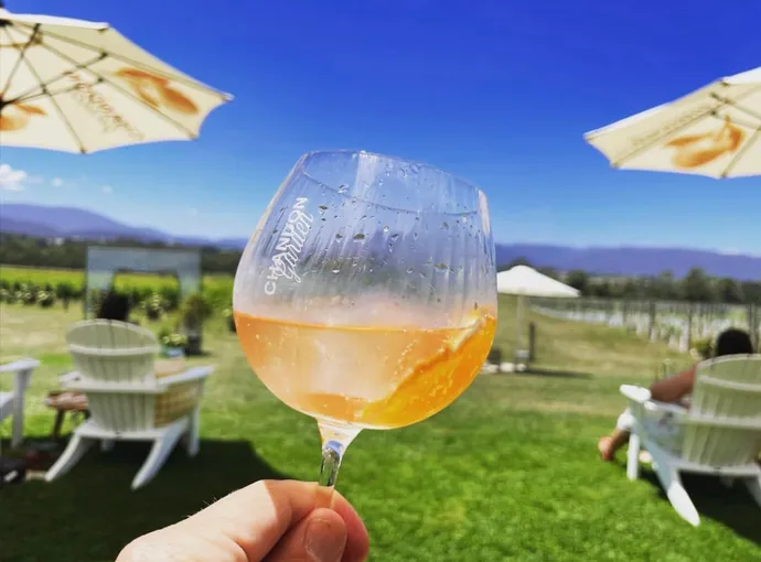 Yarra Valley Foodies Tour & Kangaroo Safari | Experience Oz