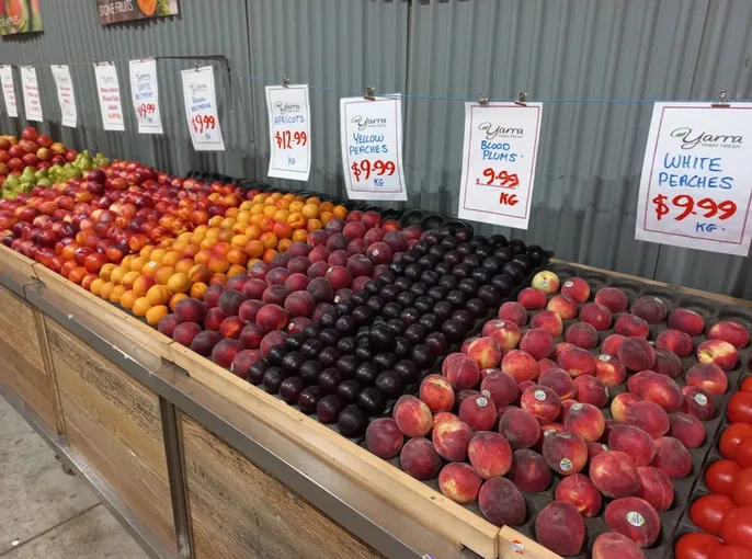Yarra Valley Foodies Tour & Kangaroo Safari | Experience Oz