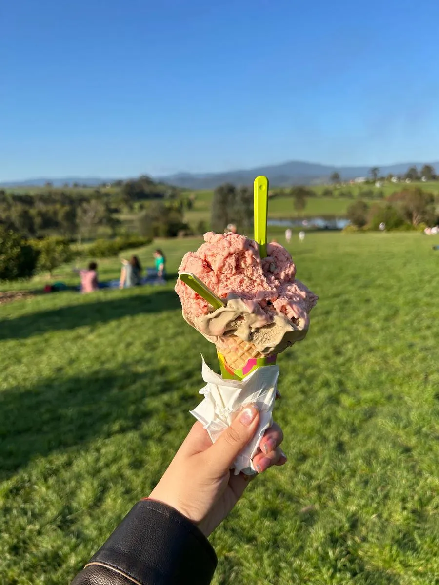 Yarra Valley Foodies Tour & Kangaroo Safari | Experience Oz-8