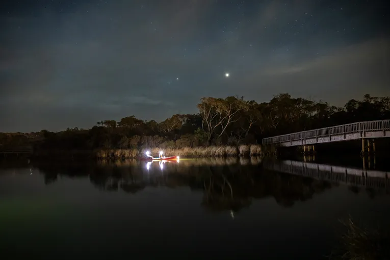 Guided Night Kayaking Tour, 90 Minutes - Anglesea