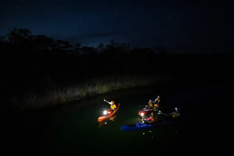 Guided Night Kayaking Tour, 90 Minutes - Anglesea