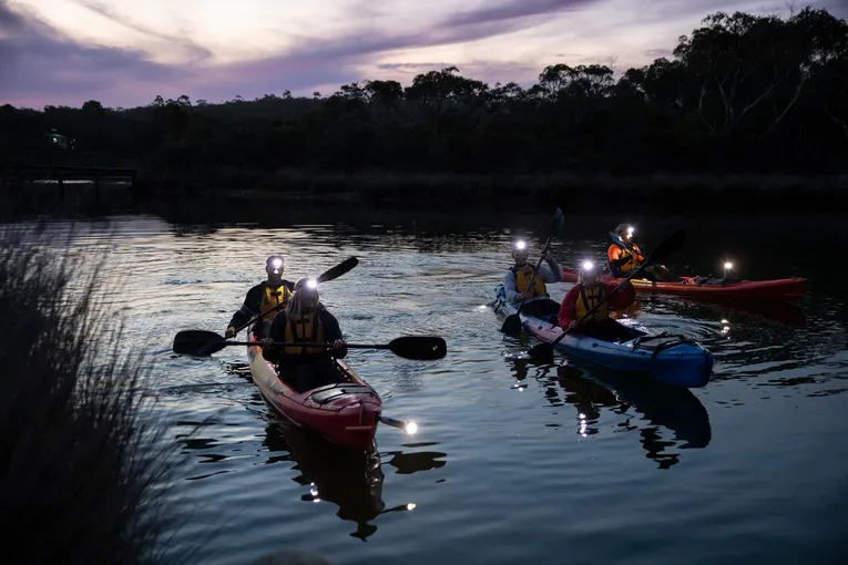 Guided Night Kayaking Tour, 90 Minutes - Anglesea