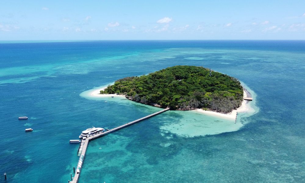 Fitzroy And Green Island Cruise, Full-Day - Cairns