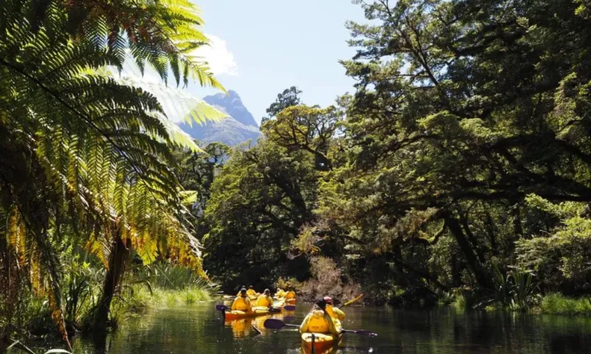 Kayak and Walk, Half Day - Milford Sound