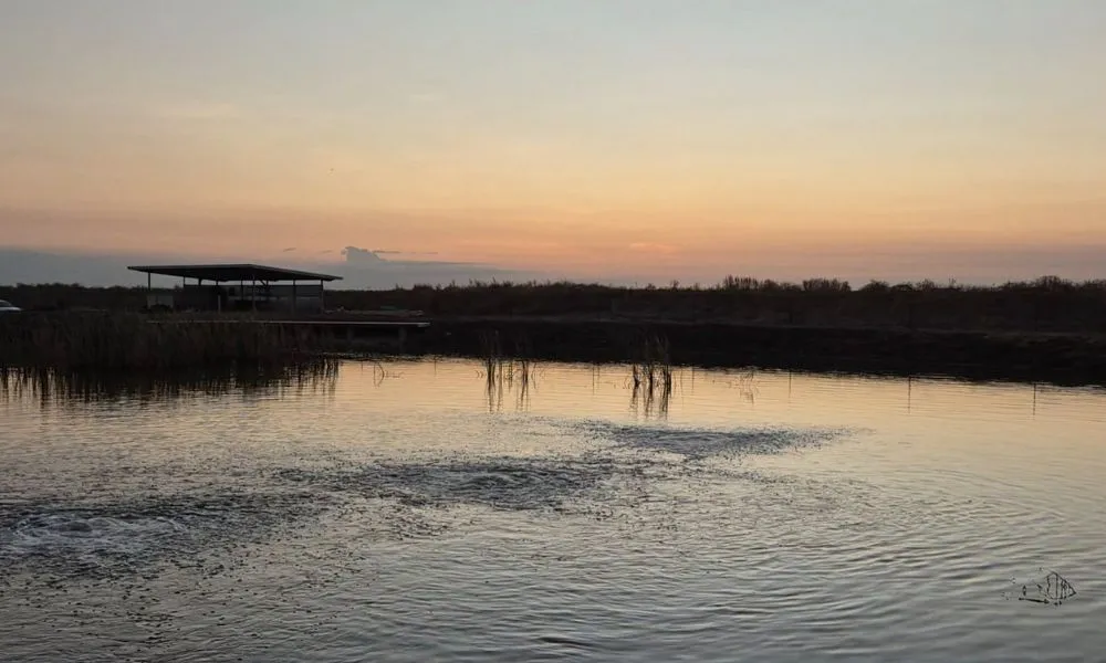 Land-Based Barramundi Fishing Adventure - 1 Hour | Experience Oz-4