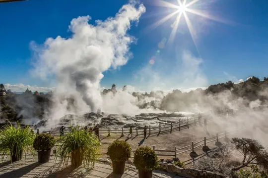 Rotorua Day Tour to Wai-O-Tapu & Te Puia from Auckland