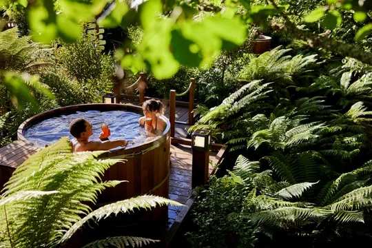 Day Trip to Wai-O-Tapu & Secret Hot Tubs from Auckland