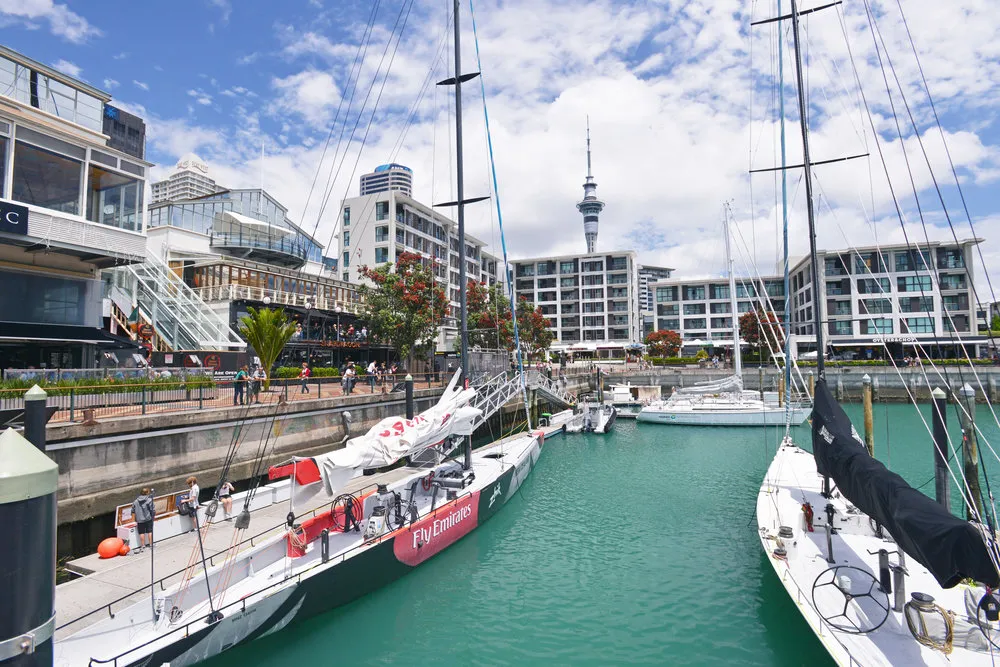 Auckland City Highlights Small Group Tour | Experience Oz + NZ-3
