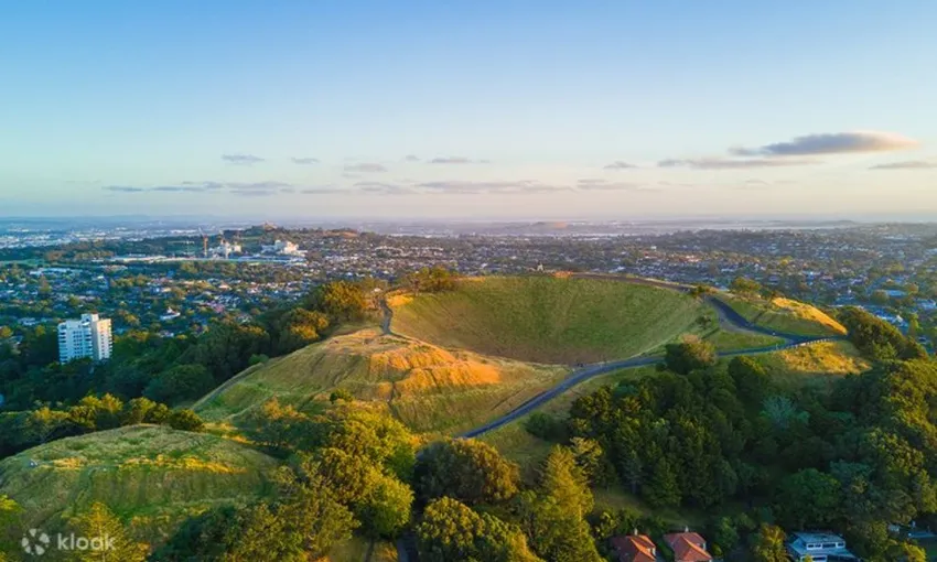 Auckland City Highlights Small Group Tour | Experience Oz + NZ