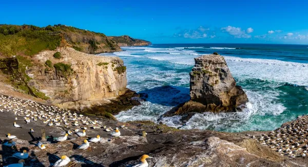 Auckland Wild West Coast Tour & Brewery Lunch