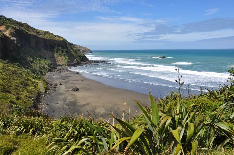 Auckland Wild West Coast Tour & Brewery Lunch | Experience Oz + NZ-4