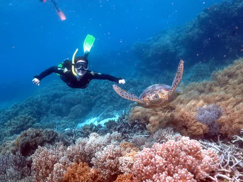 Great Barrier Reef Cruise to Great Adventures Pontoon