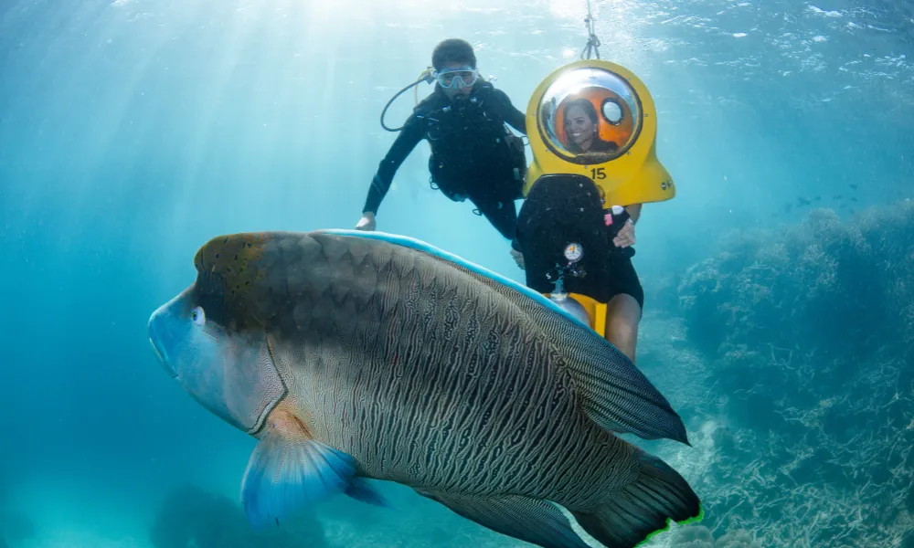 Cairns Outer Great Barrier Reef Snorkel Cruise Adventure | Experience Oz-12