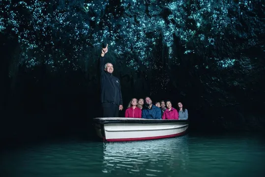 One Way Tour from Auckland to Rotorua via Hobbiton