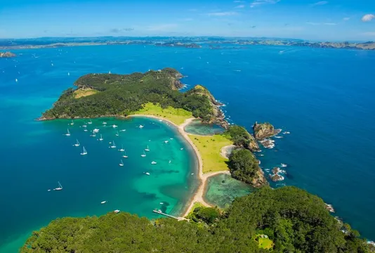 One Way Tour from Auckland to Paihia via Northland’s Coast