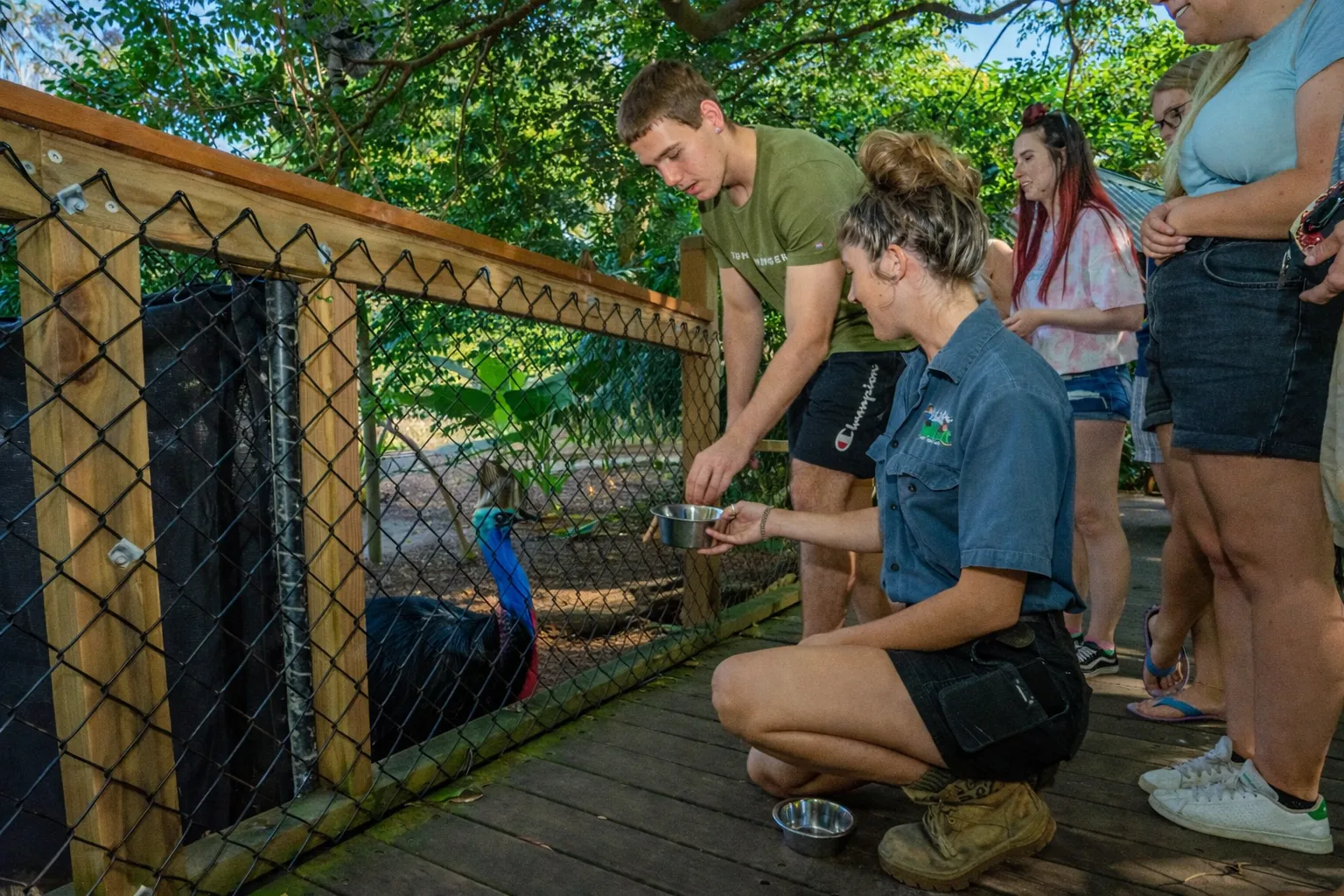 Port Douglas Wildlife Habitat Tour - 2 Hours | Experience Oz-5