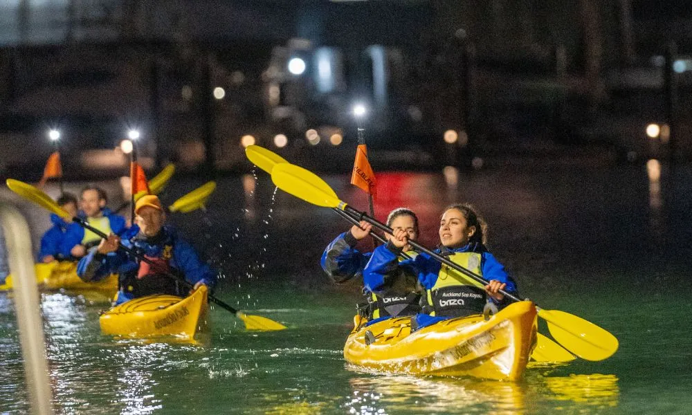 Auckland City Lights Kayak Tour - 2 Hours | Experience Oz + NZ-6