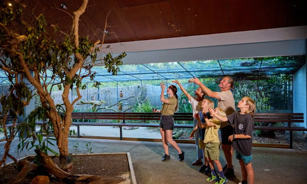 Wildlife Habitat Nocturnal Private Tour - 2 Hours | Experience Oz-7