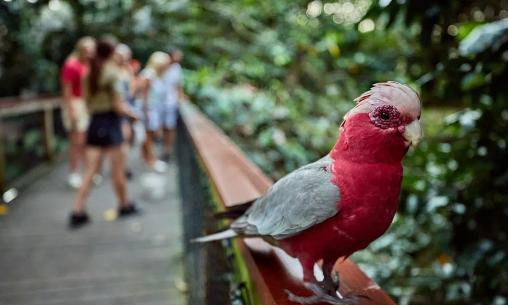 Wildlife Habitat Nocturnal Private Tour - 2 Hours | Experience Oz-3
