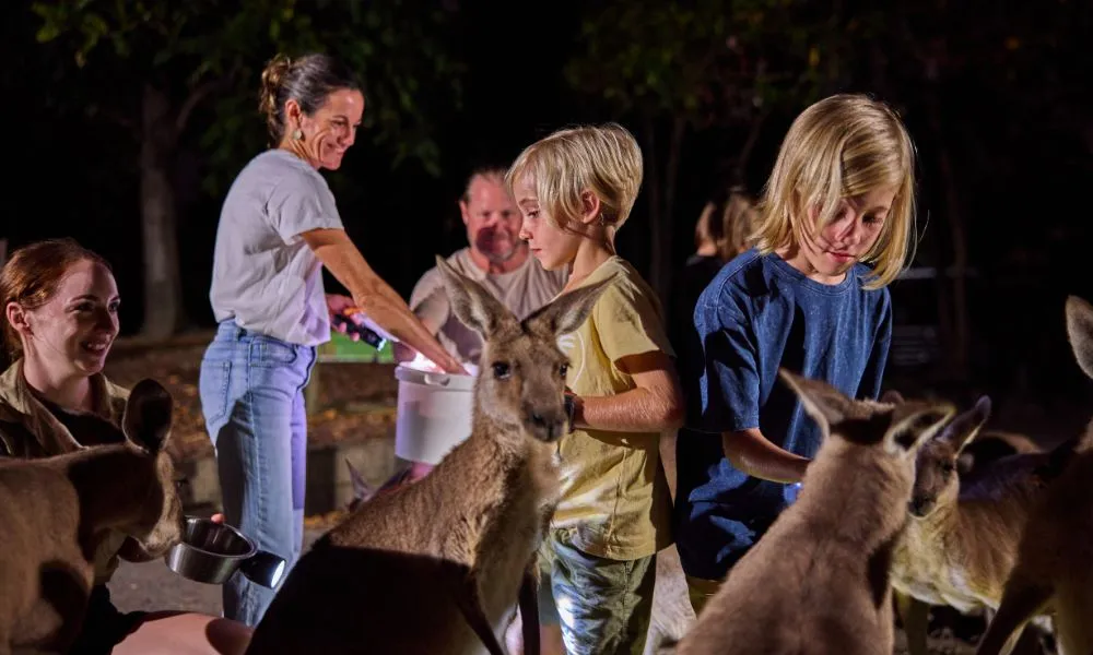Wildlife Habitat Nocturnal Private Tour - 2 Hours | Experience Oz-4