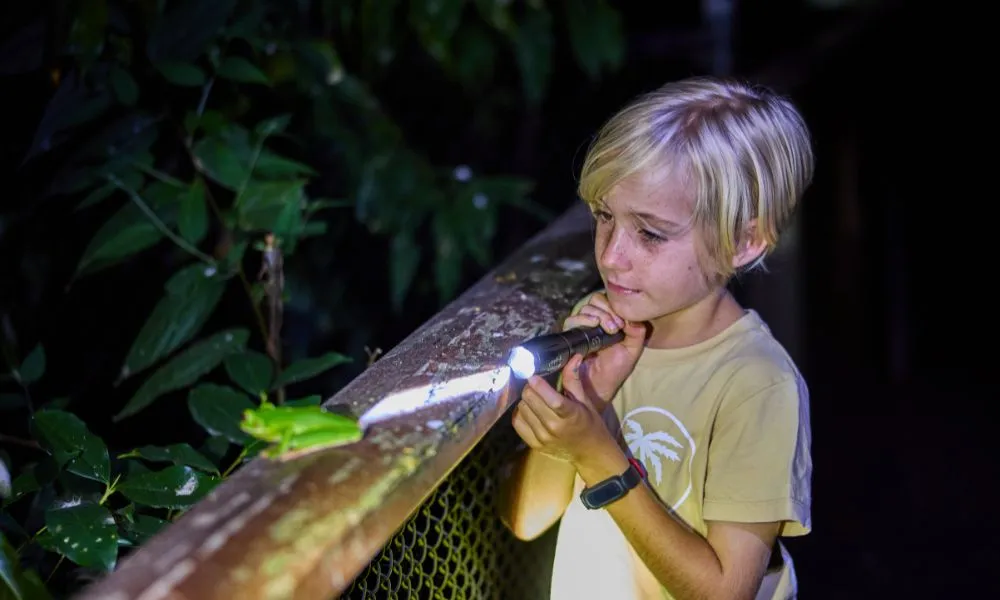 Wildlife Habitat Nocturnal Private Tour - 2 Hours | Experience Oz-6