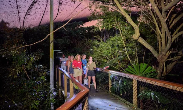 Wildlife Habitat Nocturnal Private Tour - 2 Hours