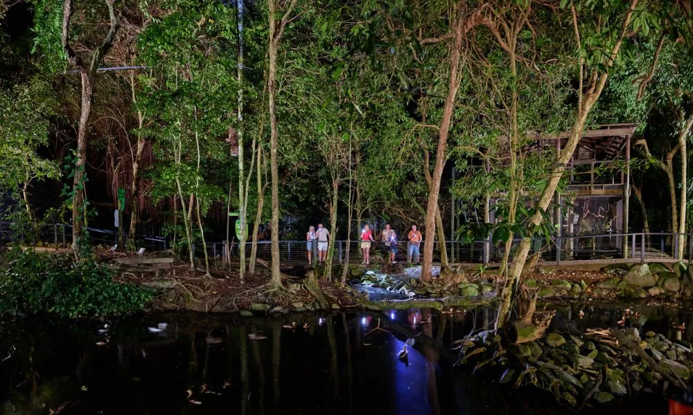 Wildlife Habitat Nocturnal Private Tour - 2 Hours | Experience Oz-9