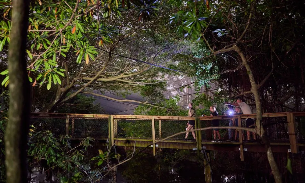 Wildlife Habitat Nocturnal Private Tour - 2 Hours | Experience Oz-10