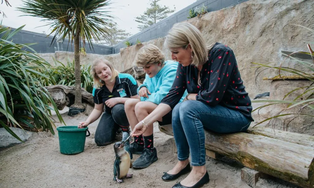 National Aquarium of New Zealand Admission | Experience Oz + NZ-5