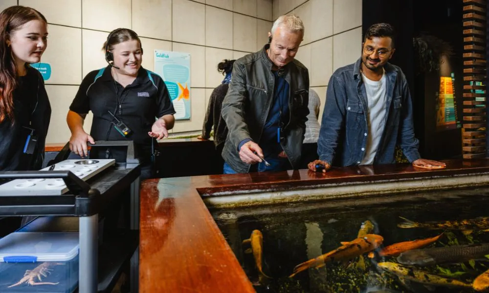 National Aquarium of New Zealand Admission | Experience Oz + NZ-3