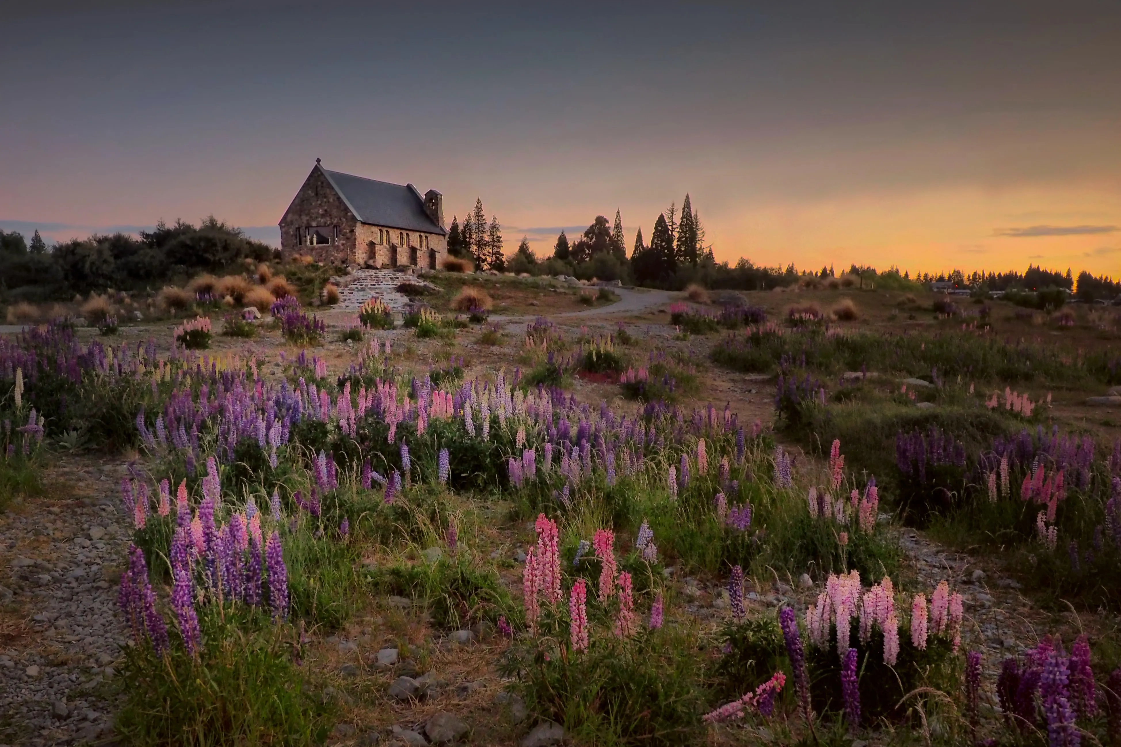 Queenstown to Tekapo Small Group via Mt Cook | Experience Oz + NZ-4