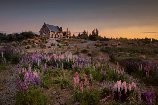 Queenstown to Tekapo Transfer & Small Group Tour via Mt Cook