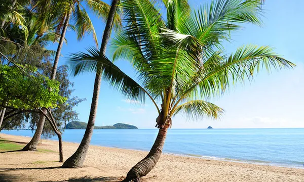 Cairns City Sights Half Day Tour from Cairns Hotels