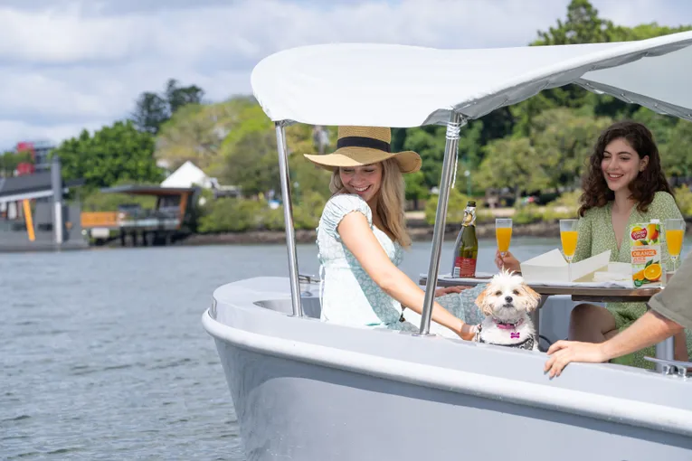 Electric Picnic Boat Hire, 2 Hours - Brisbane