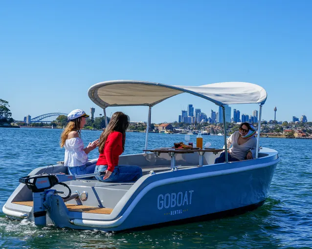 Electric Picnic Boat Hire For 3 Hours - Sydney