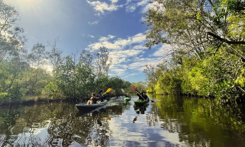Noosa Everglades & Stingrays Kayak Adventure | Experience Oz
