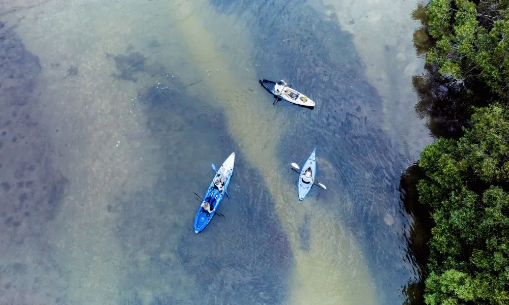 Noosa Everglades & Stingrays Kayak Adventure | Experience Oz-5