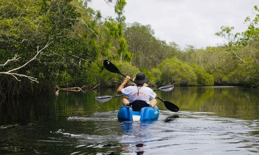 Noosa Everglades & Stingrays Kayak Adventure | Experience Oz