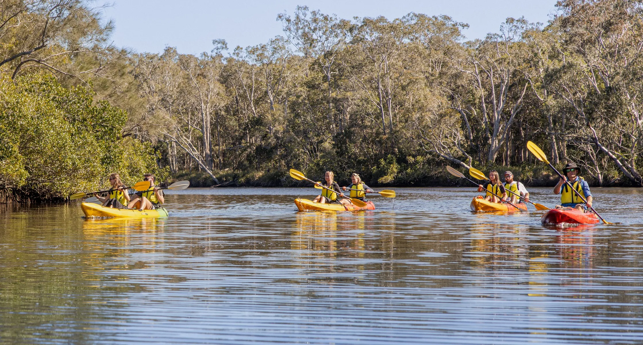 Noosa Everglades & Stingrays Kayak Adventure | Experience Oz-2