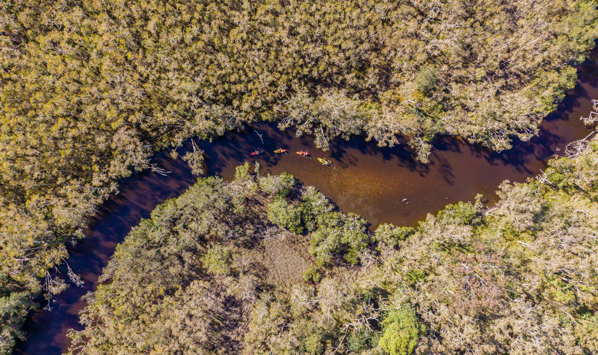 Noosa Everglades & Stingrays Kayak Adventure | Experience Oz-5