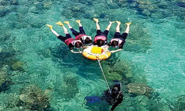 Cairns to Fitzroy & Green Islands Cruise with Snorkelling