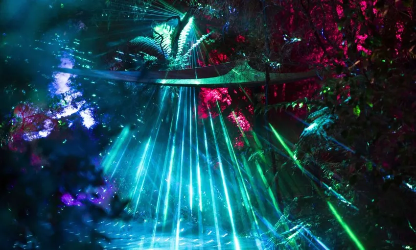 Te Puia Immersive Night Light Trail - 1 Hour | Experience Oz + NZ