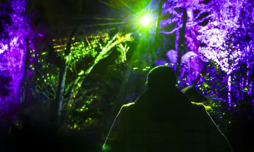 Te Puia Immersive Night Light Trail - 1 Hour | Experience Oz + NZ