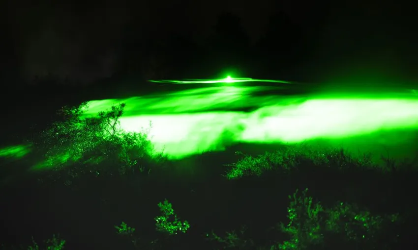 Te Puia Immersive Night Light Trail - 1 Hour | Experience Oz + NZ