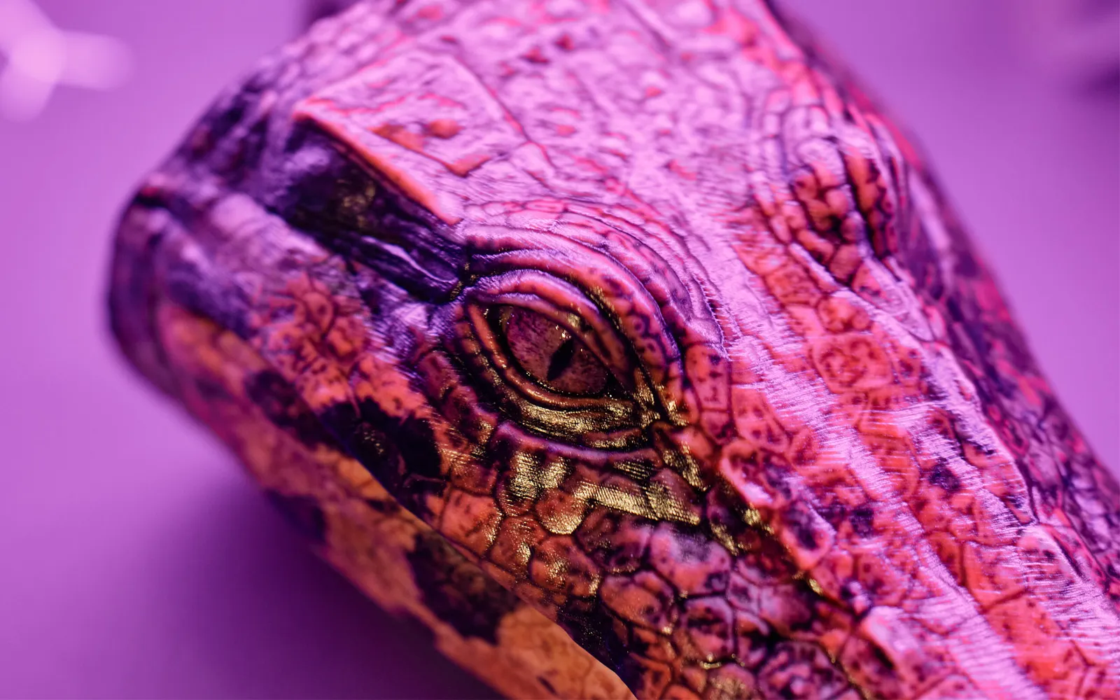 Brisbane Crocodile Exhibition - 90 Minutes | Experience Oz-3